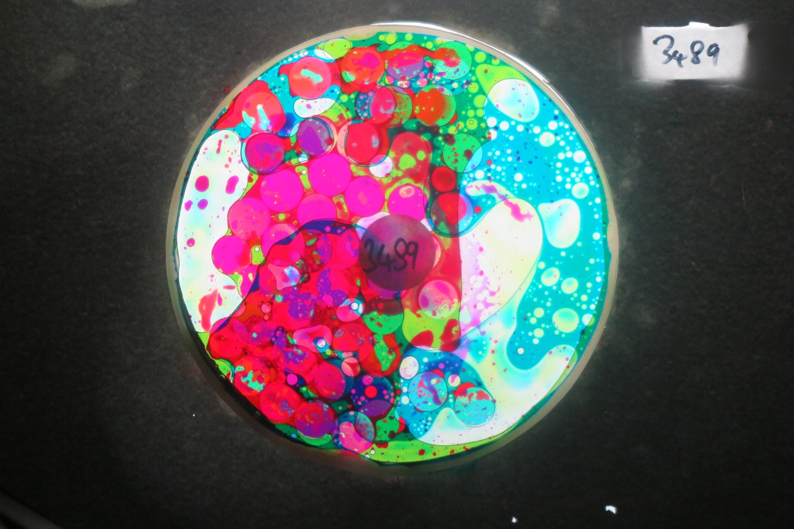 BV3489 bubble vision oil wheel